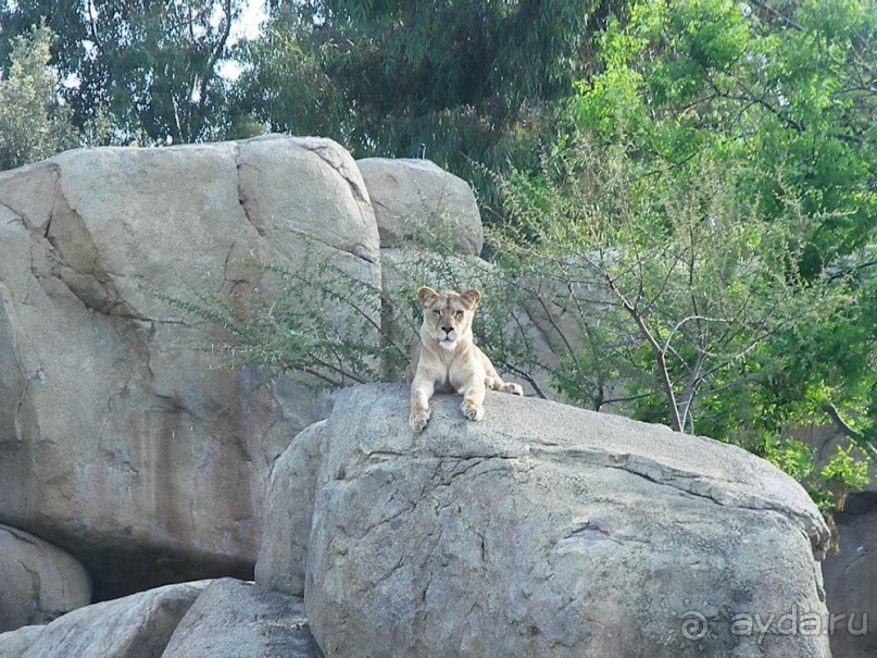 Побег от московской зимы в Валенсию