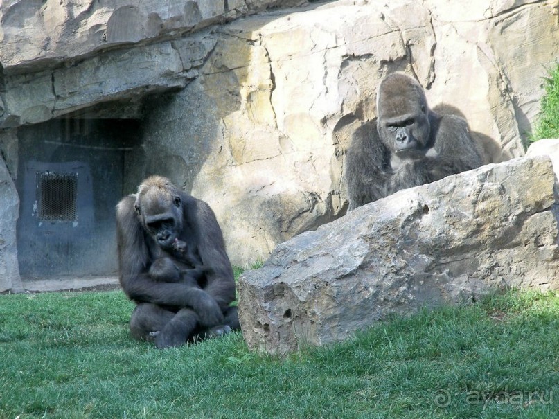 Побег от московской зимы в Валенсию