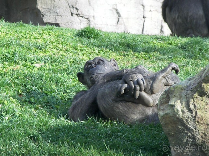 Побег от московской зимы в Валенсию