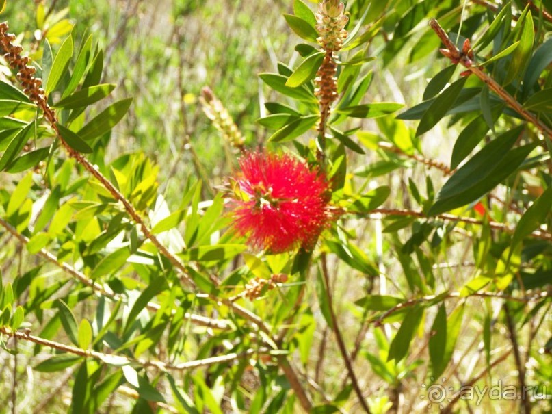 Побег от московской зимы в Валенсию