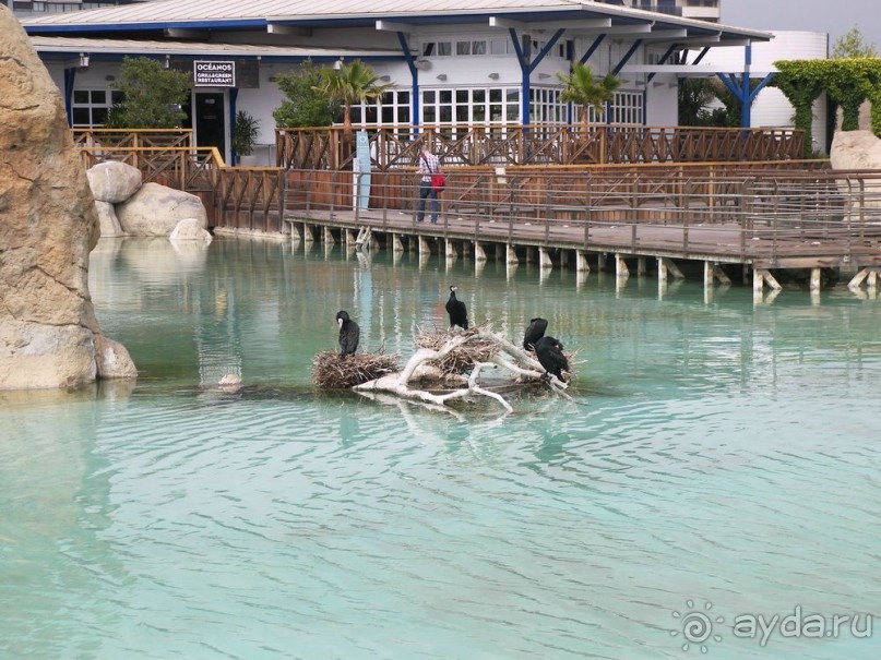 Побег от московской зимы в Валенсию