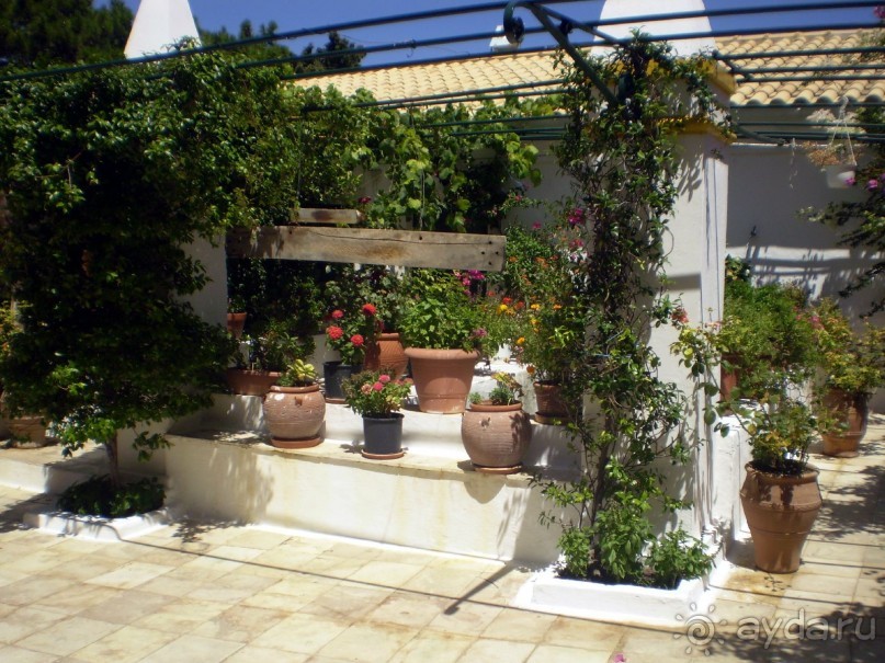 фото Messonghi Beach Resort