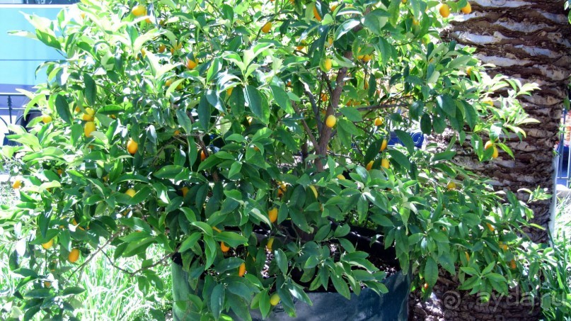 Достойный отель! 