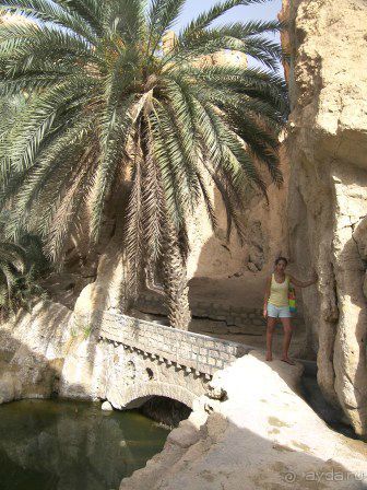 Caribbean World Mahdia. Тунис- страна контрастов.