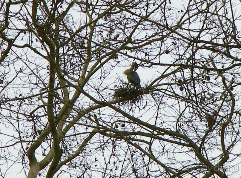 Самостоятельно в Стамбул женской компанией