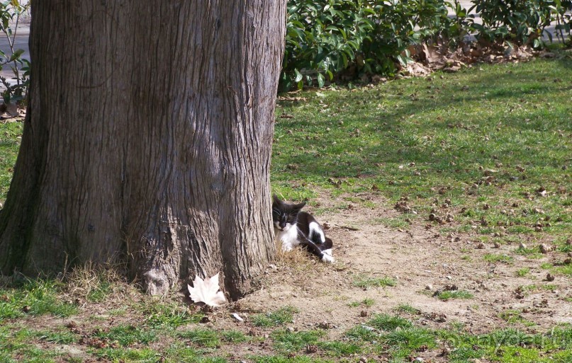 Самостоятельно в Стамбул женской компанией