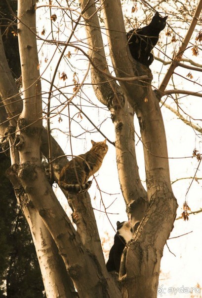 Самостоятельно в Стамбул женской компанией