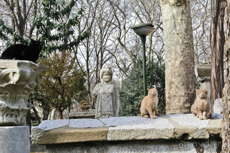 Самостоятельно в Стамбул женской компанией