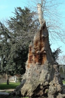 Самостоятельно в Стамбул женской компанией