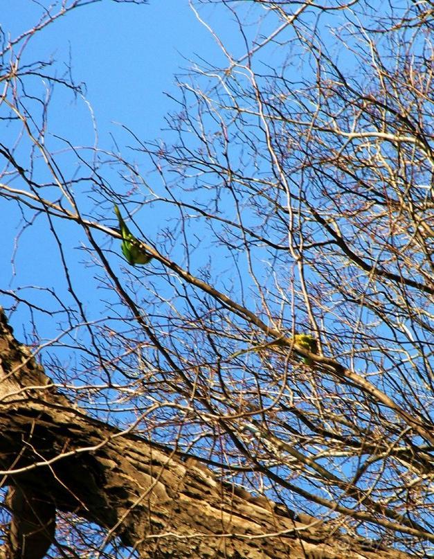 Самостоятельно в Стамбул женской компанией