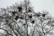 Самостоятельно в Стамбул женской компанией