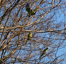 Самостоятельно в Стамбул женской компанией