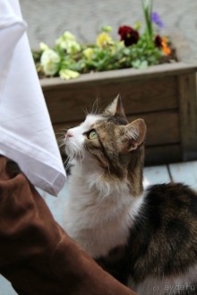 Самостоятельно в Стамбул женской компанией