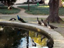 Самостоятельно в Стамбул женской компанией