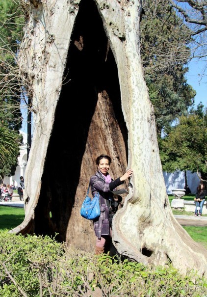 Самостоятельно в Стамбул женской компанией