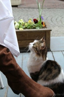 Самостоятельно в Стамбул женской компанией