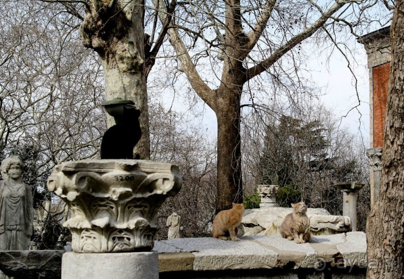 Самостоятельно в Стамбул женской компанией