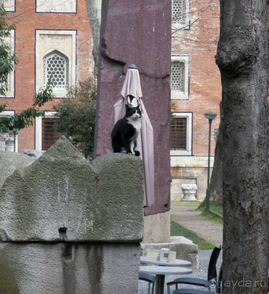 Самостоятельно в Стамбул женской компанией