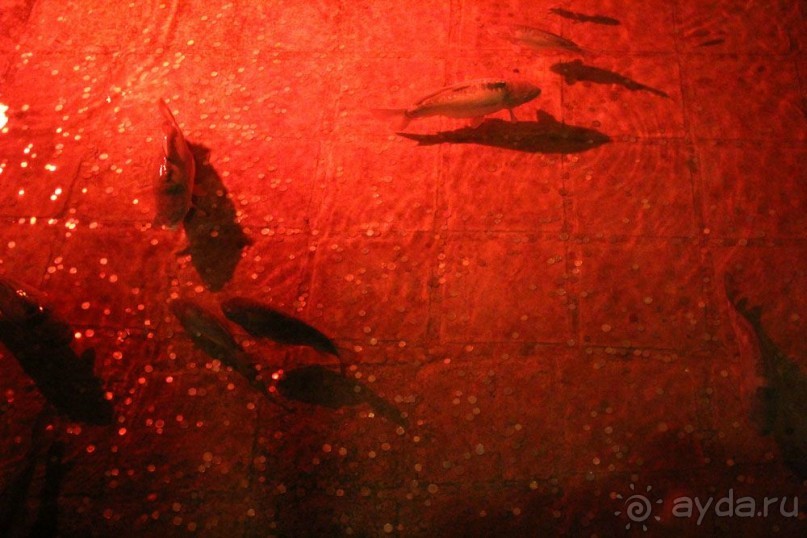 Самостоятельно в Стамбул женской компанией