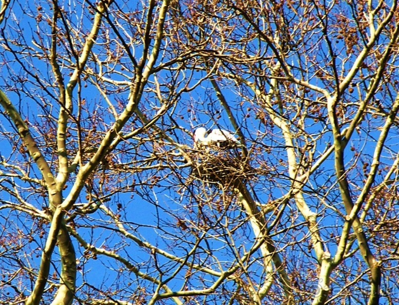 Самостоятельно в Стамбул женской компанией