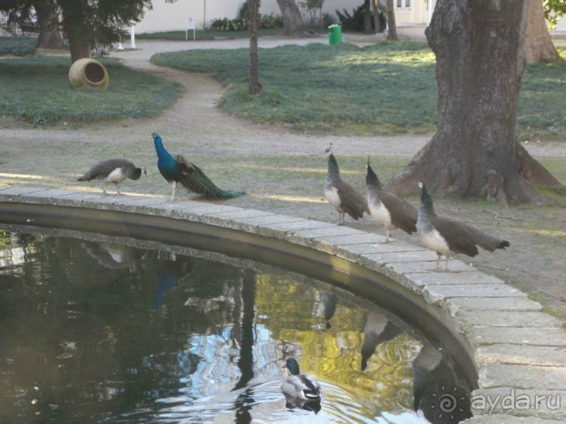 Самостоятельно в Стамбул женской компанией