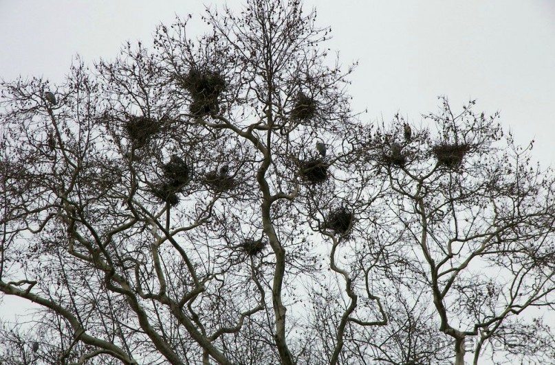 Самостоятельно в Стамбул женской компанией