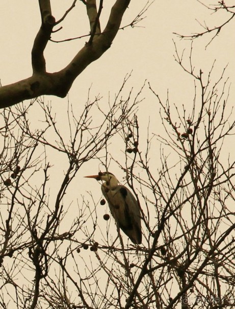 Самостоятельно в Стамбул женской компанией