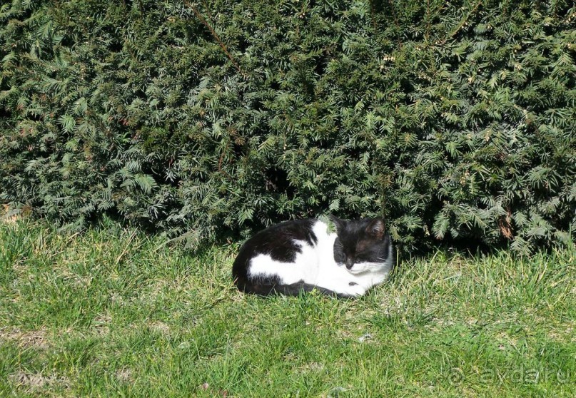 Самостоятельно в Стамбул женской компанией