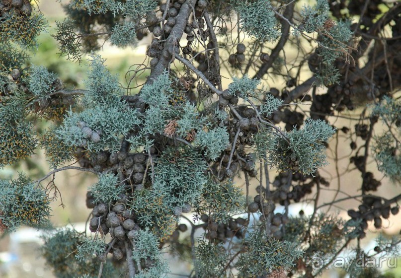 Самостоятельно в Стамбул женской компанией