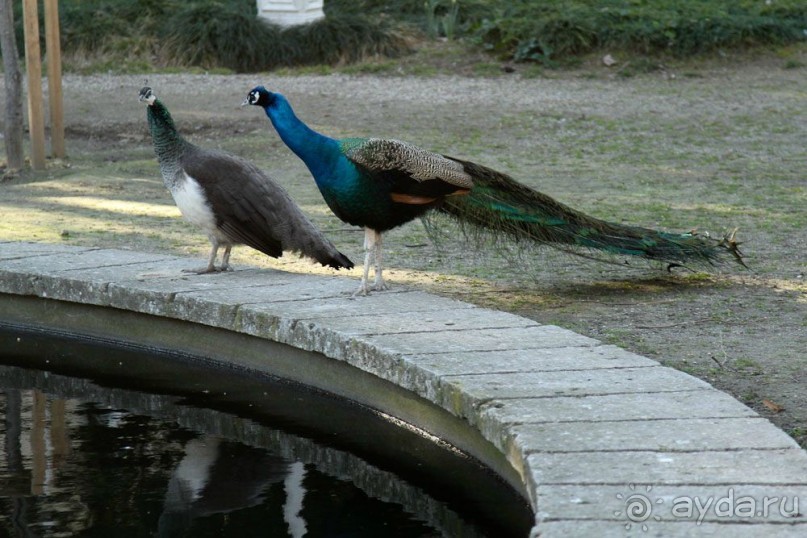 Самостоятельно в Стамбул женской компанией