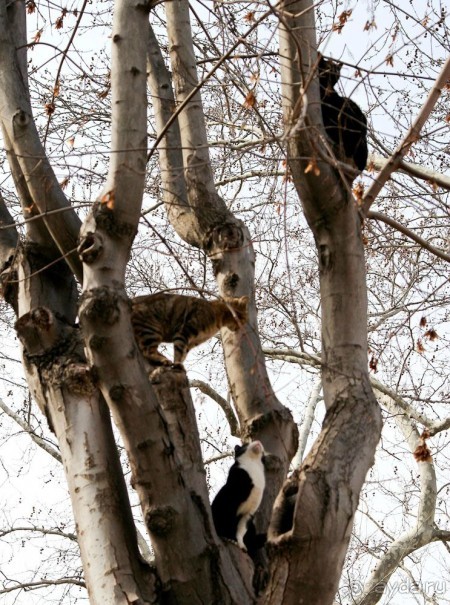 Самостоятельно в Стамбул женской компанией
