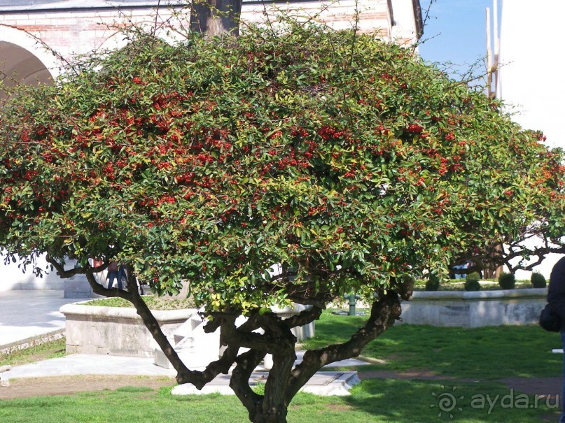 Самостоятельно в Стамбул женской компанией