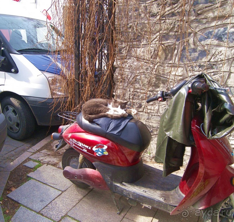 Самостоятельно в Стамбул женской компанией