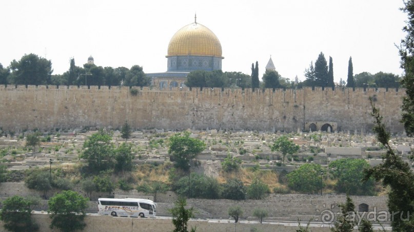 фото Swiss Inn Dream Resort