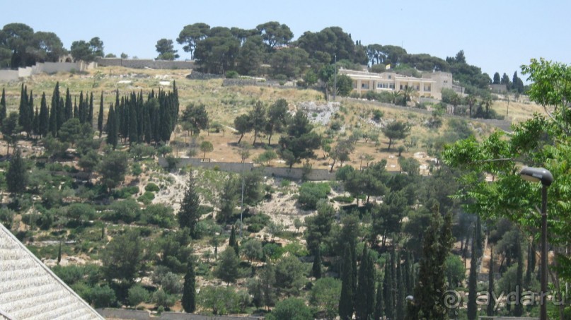 фото Swiss Inn Dream Resort