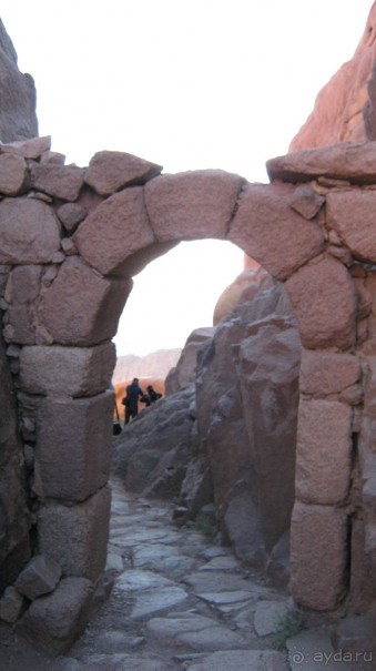 фото Swiss Inn Dream Resort