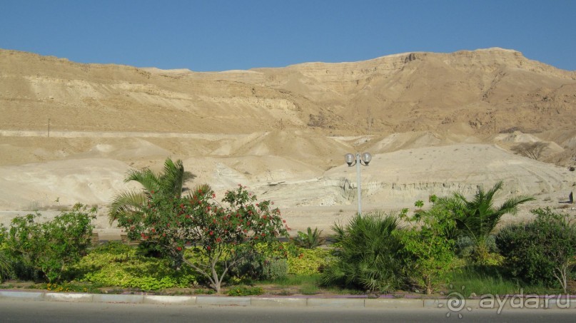 фото Swiss Inn Dream Resort