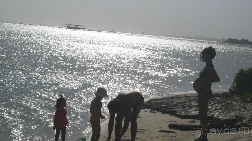 из зимы в лето