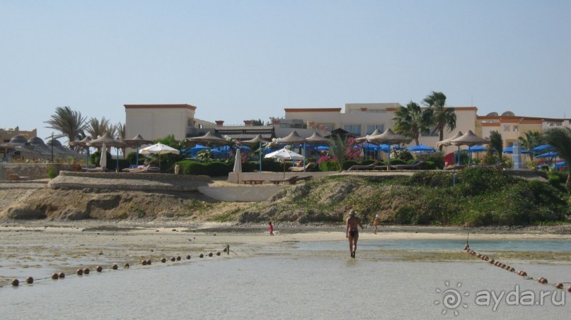 из зимы в лето