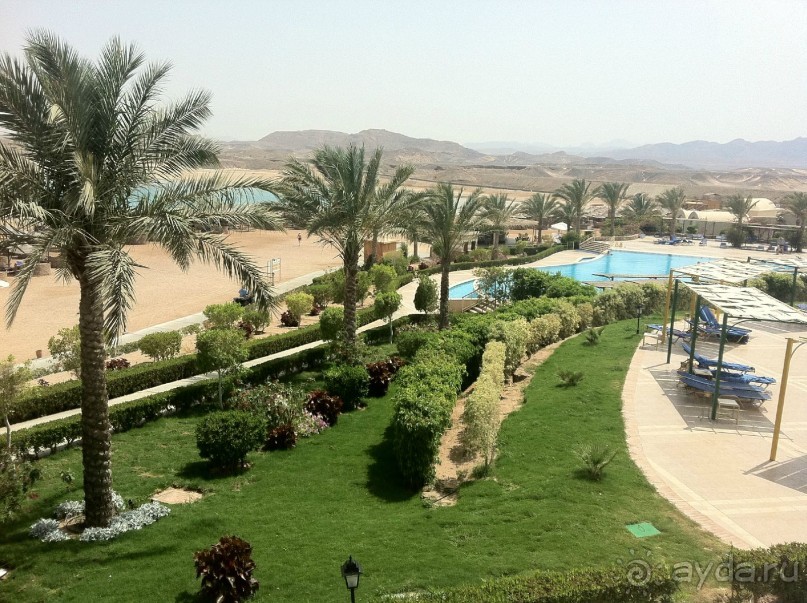 арабская сказка на турецкий лад