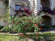 фото TUI MAGIC LIFE Kalawy