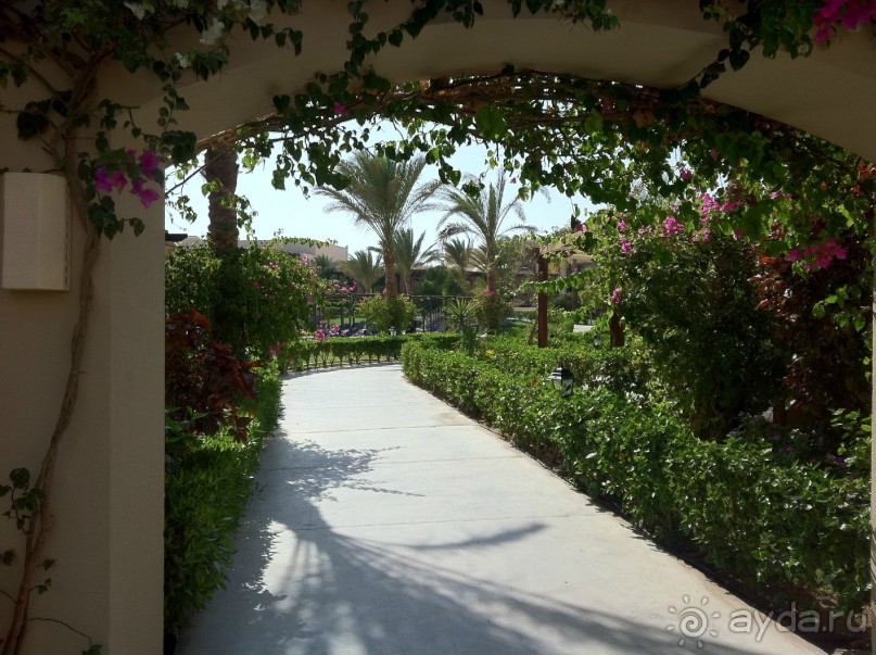 арабская сказка на турецкий лад