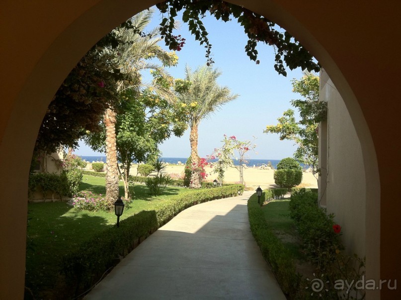 арабская сказка на турецкий лад