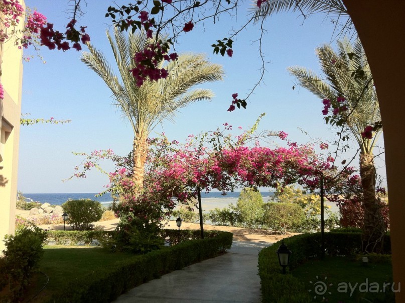 арабская сказка на турецкий лад