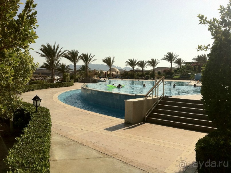 арабская сказка на турецкий лад