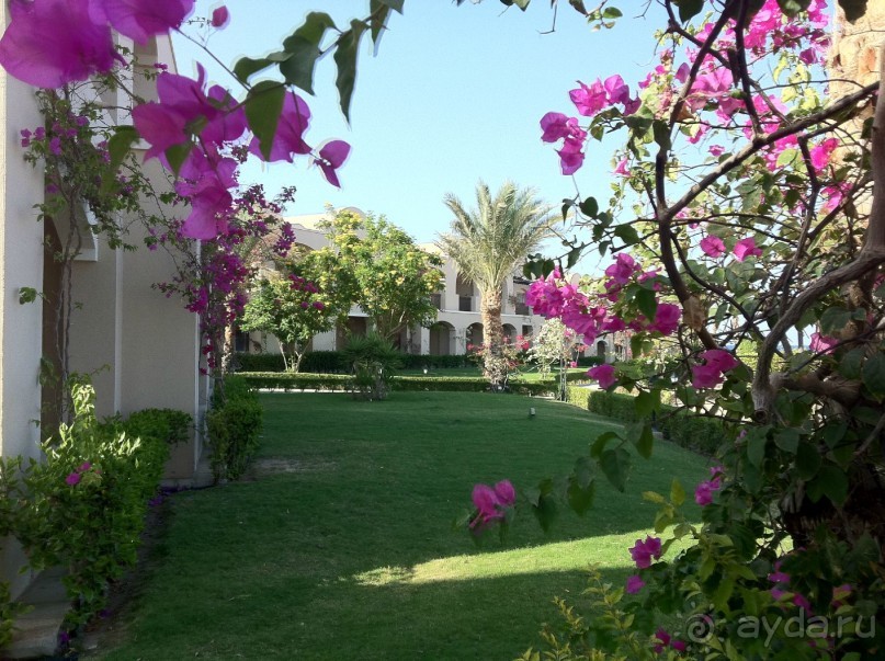 арабская сказка на турецкий лад