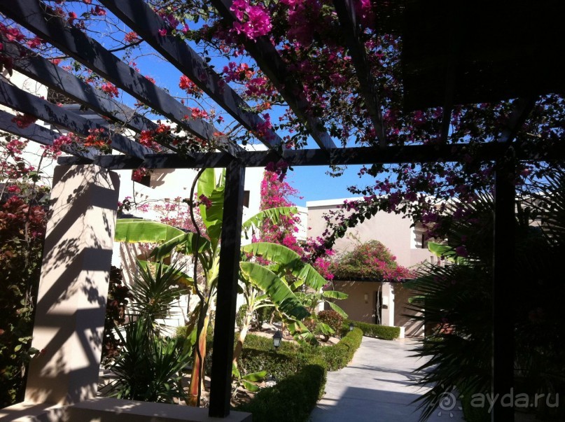 арабская сказка на турецкий лад