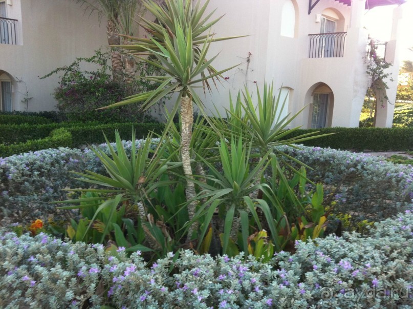 арабская сказка на турецкий лад