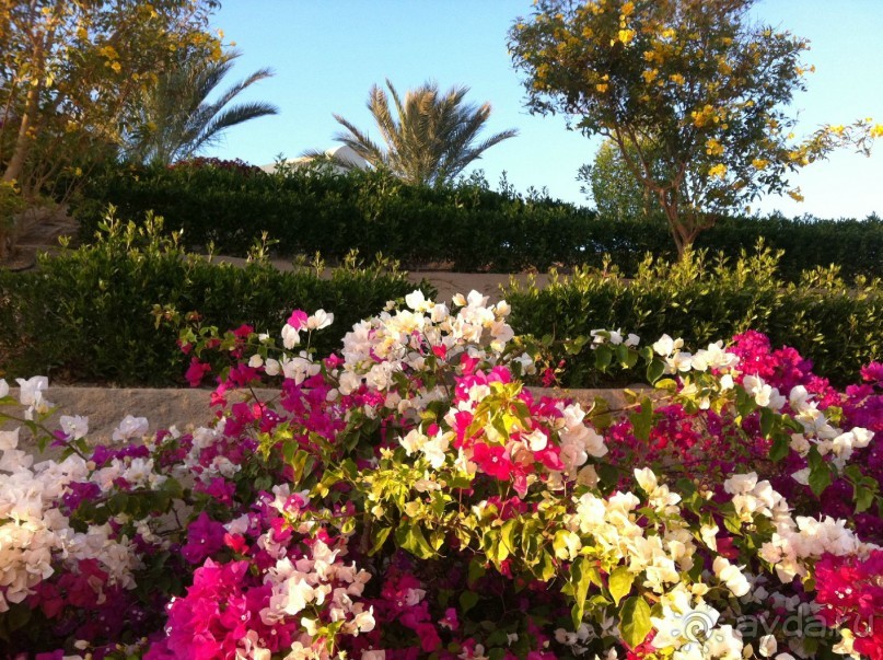 арабская сказка на турецкий лад