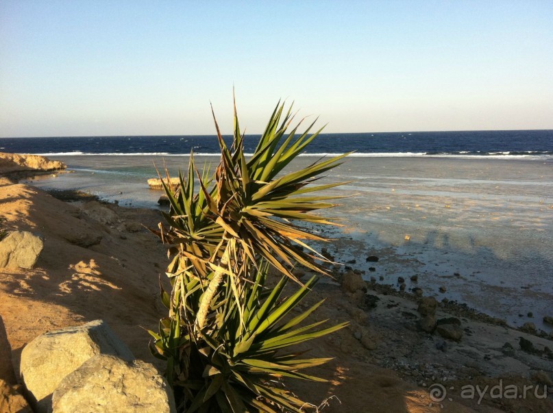 арабская сказка на турецкий лад